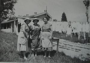 COLO LA PEYROUSE 195X 017 LES CUISINIERES